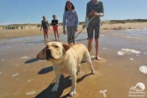 Strand Nieuwvliet